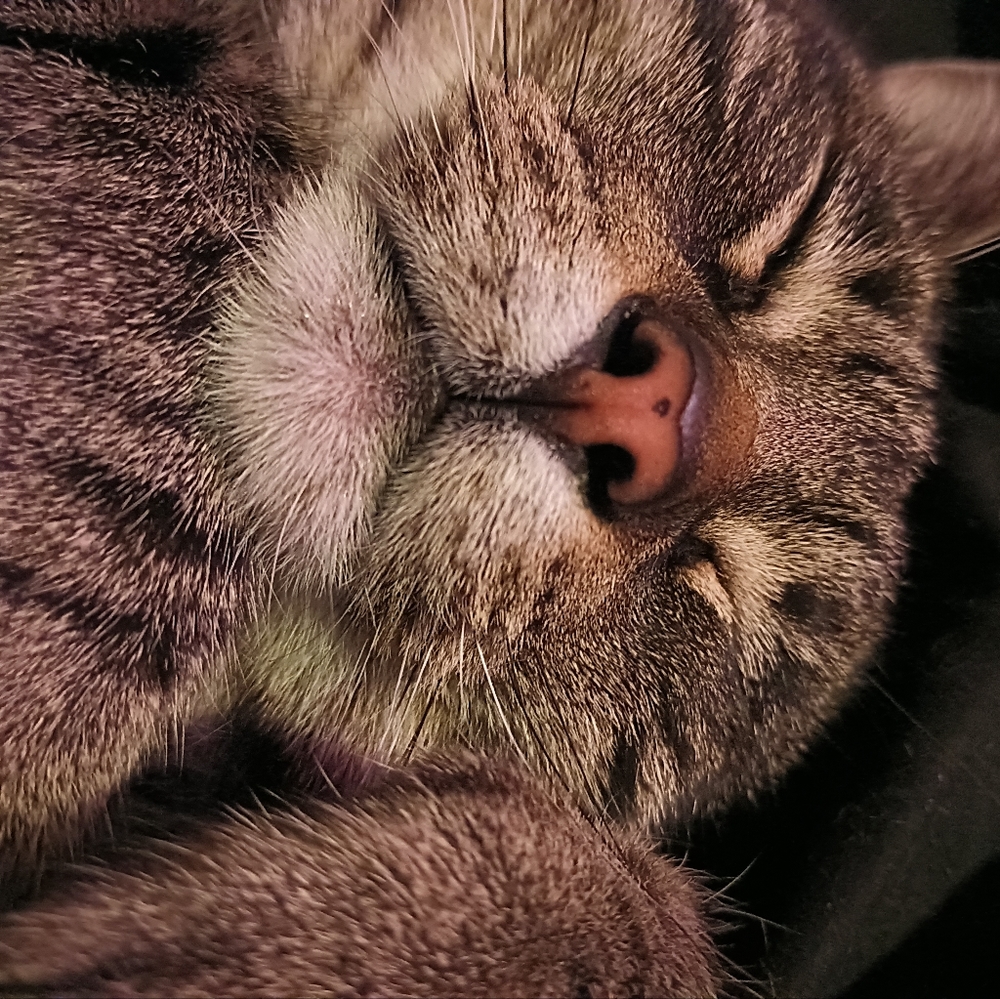 Meet your Posher, Twylla